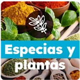 Especias y Plantas 