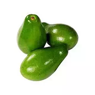 Aguacate Papelillo
